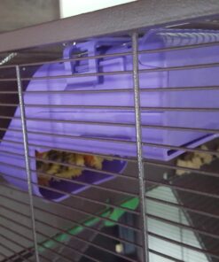 Kaytee Gravity Bin Feeder With Bracket Assorted 31 71i7SWgPmWL