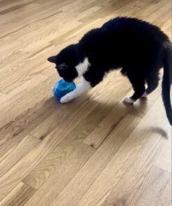 PetSafe Cat Egg-Cersizer Interactive Toy and Meal Dispenser, Use with Food or Treats - PTY00-13747,Blues & Purples Pack of 1 17 71i9uWFwV2L 1