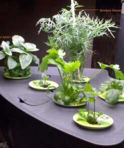 AeroGarden Classic 6 with Gourmet Herb Seed Pod Kit 39 71iAvMIO6IL