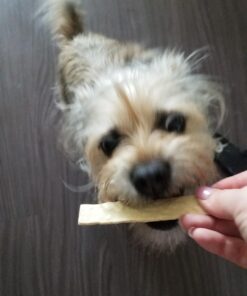 Virbac C.E.T. Enzymatic Oral Hygiene Chews, Small Dog, 30 Count,Beef,0.65 pounds 8.4 Ounce (Pack of 1) Blue 26 71iDDzwBPeL