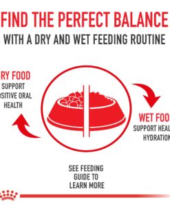 Royal Canin Feline Care Nutrition Hairball Care Dry Cat Food, 3 lb bag 3 Pound (Pack of 1) 29 71iDpnHO1TL 11