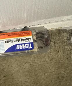 Terro Liquid Ant Killer Baits(6 Bait Stations Net Contents 2.2fl.oz/0.36fl.oz) 30 71iGL4RBBhL