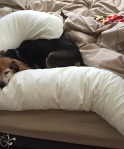 Leachco Snoogle Original Maternity/Pregnancy Total Body Pillow, Ivory 60 Inch 39 71iHzr8JQAL