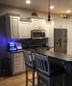 Fluval SPEC Freshwater Aquarium Kit, Aquarium with LED Lighting and 3-Stage Filtration, 2.6 Gallon, Black, Large Breeds 2.6 Gal. 65 71iI9GzABoL