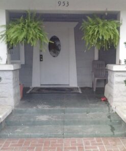 Silk Decor 1 4'TRI Ball Boxwood TOP.(P) GRTT Greenery, 48-in, Two Tone Green 22 71iIWc8dBsL