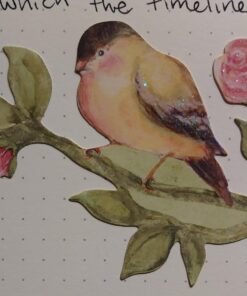 K&Company Susan Winget Meadow Die-Cut Cardstock 22 71iIjbgwDL 1