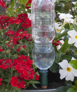 Blumat Bottle Adapter (3 Pack): Self Watering Spikes/Houseplant Watering Stakes, Automatic Irrigation System, Use When On Vacation,Terracotta Spikes to use with Recycled Plastic Water Bottles (3 Pack) 19 71iIoulgzFL