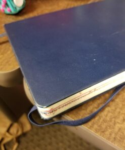 Moleskine Classic Notebook, Hard Cover, Large (5" x 8.25") Squared/Grid, Sapphire Blue, 240 Pages 21 71iKP4l0l4L