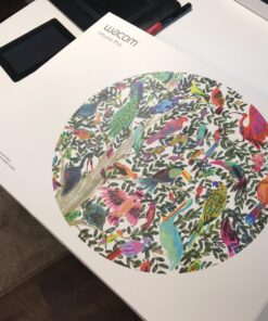 Wacom Intuos Pro Medium Bluetooth Graphics Drawing Tablet, 8 Customizable ExpressKeys, 8192 Pressure Sensitive Pro Pen 2 Included, Compatible with Mac OS and Windows,Black Regular 30 71iLNnjRdvL