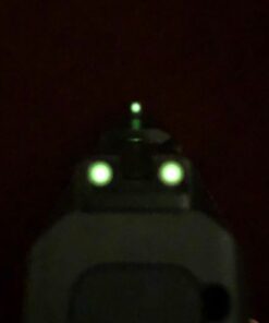 TRUGLO Tritium Handgun Sight High-Visible Night Sight with Daylight White Dot & Low-Light Tritium Glowing Green Dot, Compatible with Ruger Handguns Ruger LC 12 71iLvO76IzL