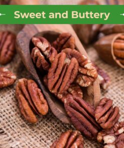 Sincerely Nuts - Raw Pecans (No Shell) | Two Lb. Bag | Shelled Whole Pecan | Delicious Healthy Snack Food | For Baking, Snacking and Dessert Treats | Gluten Free and Kosher | Fresh Resealable Bag 2 Pound (Pack of 1) 16 71iMf6rju7L