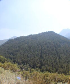 Altura Photo 58MM 0.35x Fisheye Canon Wide Angle Lens (w/Macro Portion) for DSLR Cameras EOS Rebel 70D 77D 80D 90D T8i T7 T7i T6i T6s T6 T5i T5 T4i T3i T100 SL1 SL2 SL3 - Canon Mount 43 71iO84jFa3L