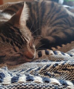 DII Braided Striped Throw, 50x60, Navy 35 71iOmqNCA L