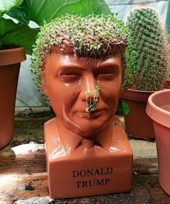 Chia Pet Donald Trump President with Seed Pack, (8" x 4.5" x 7.3") Decorative Pottery Planter, Easy to Do and Fun to Grow, Novelty Gift, Perfect for Any Occasion 46 71iOzELd30L