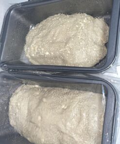 Amazon Basics Rectangular Baking Bread Loaf Pan, 9.5 x 5 Inch, Set of 2, Gray 49 71iQ W2OnuL