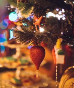 Sony 55mm F1.8 Sonnar T FE ZA Full Frame Prime Lens - Fixed Base 58 71iUf6DaozL