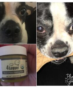 4Legger Certified Organic Nose & Paw Pad Healing Balm Unscented for Dry Chapped and Cracked Paw Pads, Elbows, Snout, Dry Skin with Hemp Oil, Vegan Wax, Calendula & Shea Butter - Made in USA - 1.9 oz 27 71iV0tcIBlL 1