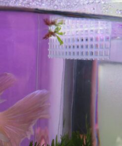 Aqueon Betta Falls 3 Section Aquarium Fish Tank With QuietFlow Power Filtration, Black 59 71iVg9i58SL