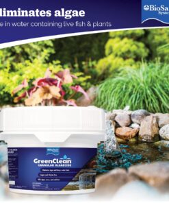 BioSafe Systems GreenClean Granular Algaecide, 20 lbs, String Algae Control for Koi Ponds, Fountains, Waterfalls, Water Features on Contact, EPA Registered 10 71iWg9DcVRL