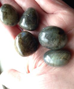 CrystalAge Labradorite Tumble Stone (20-25mm) - Pack of 5 13 71iWm3PVUHL