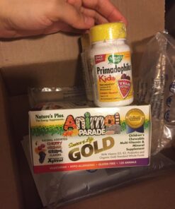 NaturesPlus Animal Parade Gold Children's Multivitamin - Assorted Cherry, Orange & Grape Flavors - 120 Chewable Animal-Shaped Tablets - Vegetarian, Gluten Free - 60 Servings 19 71iYJwTdDSL