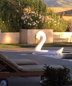 GoFloats Swan Party Tube Inflatable Raft, Float in Style (for Adults and Kids) Large 30 71iYpyf73aL