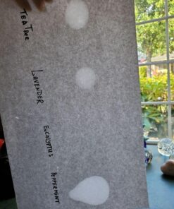 Aura Cacia Discover Essential Oils Kit, 4-Pack, Lavender, Eucalyptus, Peppermint & Tea Tree Oils, Excellent Starter Set Essential Oils Kit: Eucalyptus/Lavender/Peppermint/Tea Tree 45 71iYtWD0McL