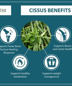 bixa BOTANICAL Cissus Extract Ayurvedic Herb for Bone Tonic, Herbal Supplement,Veg Capsules 60 Count (450mg) 9 71ib1g3jZfL