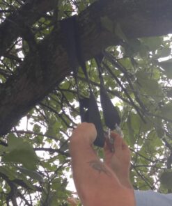 Easy Hang (4FT) Tree Swing Strap X1 - Holds 2200lbs. - Heavy Duty Carabiner - Bonus Spinner - Perfect for Tire and Saucer Swings - 100% Waterproof - Easy Picture Instructions - Carry Bag Included! 4 Feet Single 34 71icSiZfyL