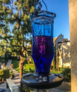 Perky-Pet Sapphire Starburst Vintage Glass Hummingbird Feeder 8129-2 15 71id1POKSL