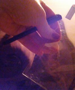 LG Phoenix 2 Locked AT&T Prepaid (U.S. Warranty) 4g Lte Gsm 5" HD 16GB 8Mp Led Flash + 5mp Android 6.0 20 71idTl8DFVL