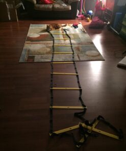Trained Agility Ladder 20ft, 2 Agility Drills eBook & Carry Case Yellow 22 71idnZM8yPL