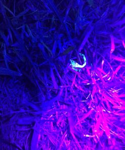 TERRO Scorpion Killer Aerosol Spray T2101 1 Pack 39 71ie4lyidQL