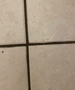 Aqua Mix 24-Ounce Grout Deep Clean Spray Bottle 12 71ig9muYPNL