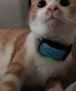 GoodBoy Mini No Shock Remote Collar for Dogs with Beep and Vibration Modes for Pet Behaviour Training - Waterproof & 1000 Feet Range - Suitable for Small to Medium Dogs (Blue) Blue 15 71ihKLQ D3L