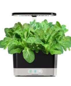 AeroGarden Mixed Romaine Lettuce Seed Pod Kit (6-pod) 6-pod 25 71ihLRXf0eL