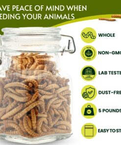 Alternative view of PICKY NEB 100% Non-GMO Dried Mealworms 5 lb - Whole Large Meal Worms Bulk - High-Protein Treats Perfect for Your Chickens, Ducks, Wild Birds