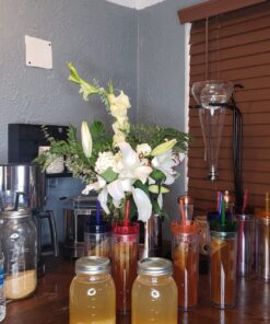 QUARTER POUND Original Water Kefir Grains Exclusively from Florida Sun Kefir with 12 Brewing Bags Mild Sweetness to Tart 0.25 Ounce (Pack of 4) 28 71ikV E1L