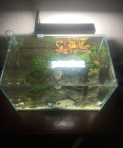 ONF Flat Nano Full Spectrum LED Aquarium Light, Dimmable 7000K / 1300lm, for <10 Gallons Rimless Fish Tanks, Freshwater Aquatic Plant Growth, Terrarium Spotlight, Potted Plant IP54 Waterproof (Silver) Silver 35 71imRDjR8rL