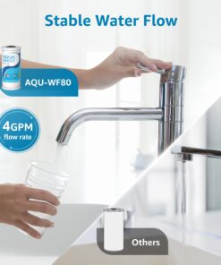 AQUACREST FXHTC 5 Micron 10" x 4.5" Whole House Water Filter, Replacement for GE FXHTC, GXWH40L, American Plumber W10-PR, W10-BC, Culligan RFC-BBSA, GXWH35F, W50PEHD, Pentek R50-BB, Pack of 2 24 71inBlPteOL
