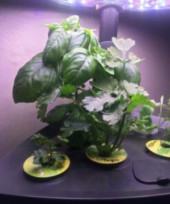 AeroGarden Classic 6 with Gourmet Herb Seed Pod Kit 59 71inykGRLL