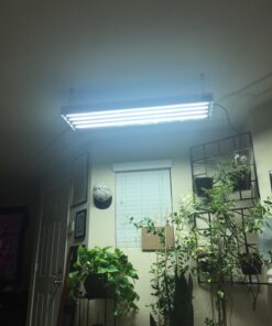 Hydrofarm FLT44 System 4' Fluorescent Grow Light, 1 Count (Pack of 1), White 4 Tubes 4-Feet 21 71iqSudJCfL