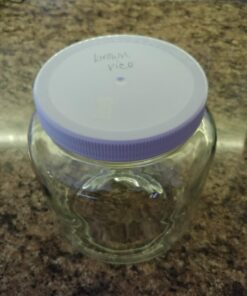 Cornucopia Brands 64oz Clear Wide-mouth Glass Jar, BPA free Food Grade w/Metal Lid (Half Gallon); 2 Quart Jar to Make Greek Yogurt/Kefir or Pickles 1 27 71isopetwL