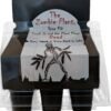 Zombie Plant Greenhouse Grow KIT- (Touch It and It Plays Dead!) Unique Nature Kit- Grow a Fun House Plant That Plays Dead When You Touch It! Comes Back to Life in Minute. Unique Christmas Gift Idea