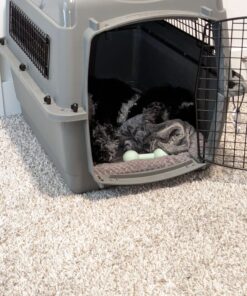 Petmate Sky Kennel Pet Carrier, 28 Inch, Made in USA 24.3"L x 18.3"W x 19.5"H 70 71iwWG0eT6L