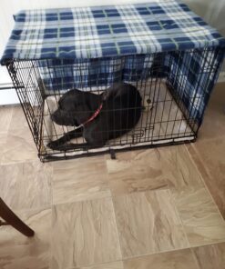 MidWest Homes for Pets Newly Enhanced Double Door iCrate Dog Crate, Includes Leak-Proof Pan, Floor Protecting Feet, Divider Panel & New Patented Features 36 inch (Pack of 1) 42 71iwg1pNLhL