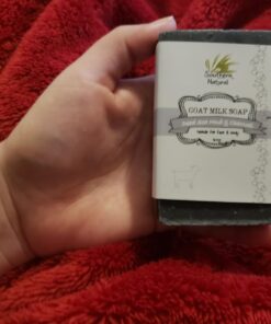 Southern Natural Activated Charcoal Soap Bar (3 Pack) Charcoal Face Soap, Acne Soap and Body Soap For Sensitive Skin. Made With Dead Sea Mud, Goat Milk & Peppermint Essential Oil. 4-4.5 oz bars 4 Ounce (Pack of 3) 26 71j0oCRqTWL