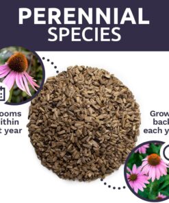 Purple Coneflower Seeds – Extra Large Packet – Over 3,000 Open Pollinated Non-GMO Wildflower Seeds – Echinacea purpurea 1 Ounce Pouch 23 71j2oorgQsL