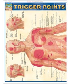 Trigger Points (Quick Study Academic) Pamphlet, Illustrated 14 71j7I5gOrlL