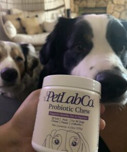 PetLab Co. Probiotics for Dogs, Support Gut Health, Diarrhea, Digestive Health & Seasonal Allergies - Pork Flavor - 30 Soft Chews - Packaging May Vary Single Pack 60 71jCTuDoOL